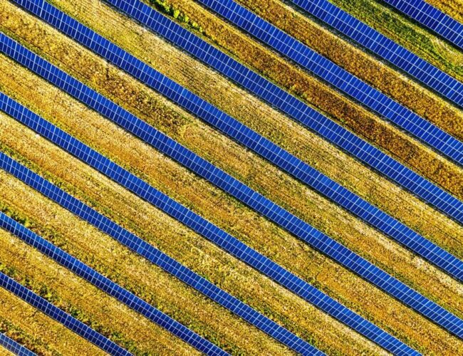 Paneles solares en Panamá: soluciones energéticas para tu hogar